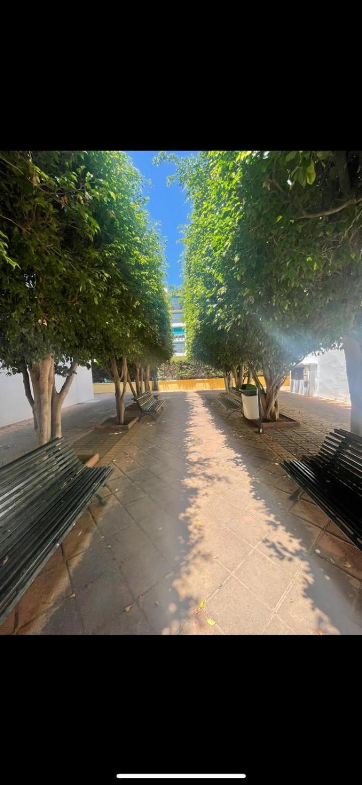 Apartamento Jardines Del Rocio Torre Del Mar Kültér fotó